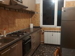 Drumul Taberei, Valea Argesului, Aleea Istru